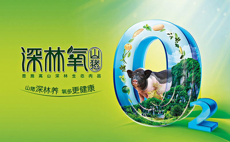 長太生生豬品牌設計 重慶深林氧山豬，搶好位，贏大勢！